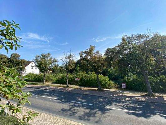 PHOTO-2021-02-02-22-33-48(2)