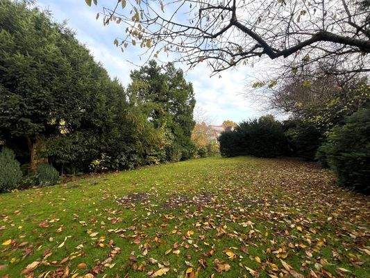 weitläufiges Grdst. 