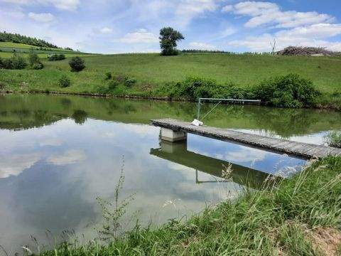 Gföhl Bauernhöfe, Landwirtschaft, Gföhl Forstwirtschaft