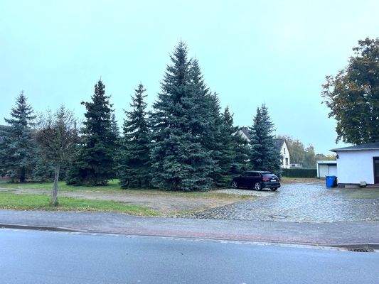 Groß (IMG_8841).jpeg