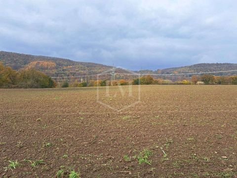 Hagen Bauernhöfe, Landwirtschaft, Hagen Forstwirtschaft