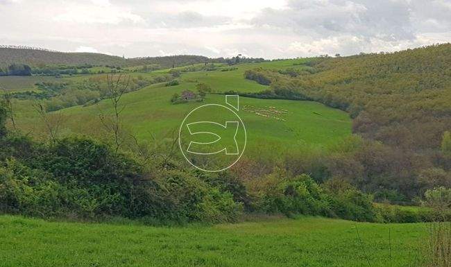 Großzügiges Anwesen in Panoramalage