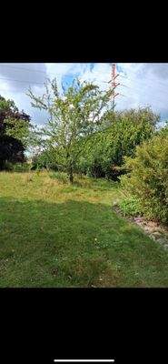 WhatsApp Image 2025-08-02 at 21.25.08