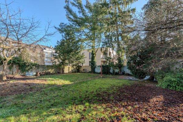 Unbebautes Grundstück