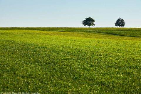 Gänserndorf Grundstücke, Gänserndorf Grundstück kaufen