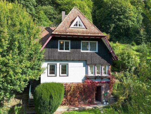 Einzigartiges Kulturdenkmal in Waldnähe