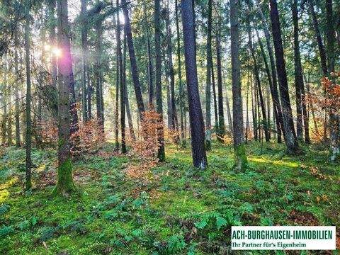 Überackern Bauernhöfe, Landwirtschaft, Überackern Forstwirtschaft