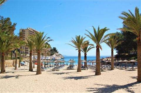 Calvià / Cala Vinyes Wohnungen, Calvià / Cala Vinyes Wohnung mieten