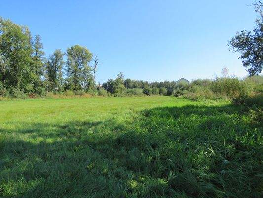 Wiese hinter der Hofstelle