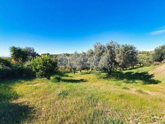 58147830e5d442d1bc904dffac9a54c6-original