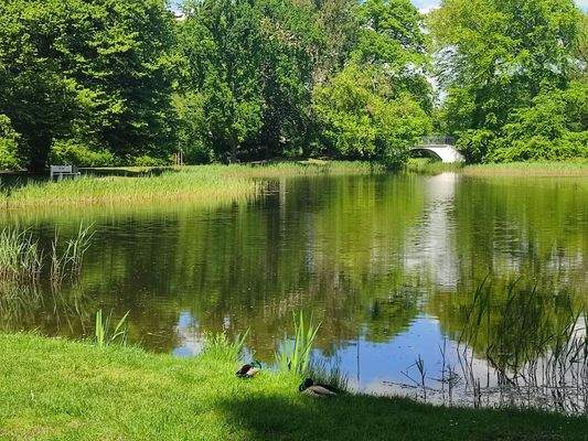 Entpannen im Schloßpark