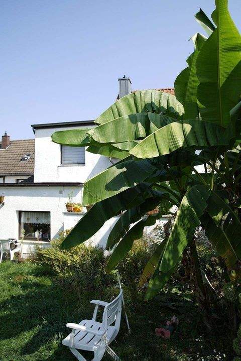 Düsseldorf Häuser, Düsseldorf Haus kaufen