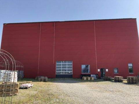 Lauben Halle, Lauben Hallenfläche