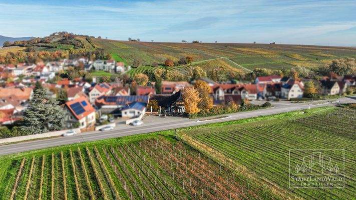 Luftbild - Immobilie und Umgebung in den Weinbergen