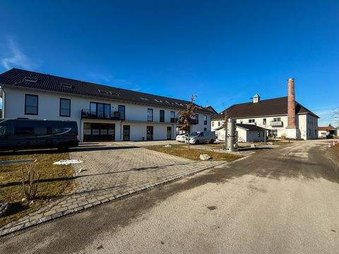 Hergolding Ladenlokale, Ladenflächen 