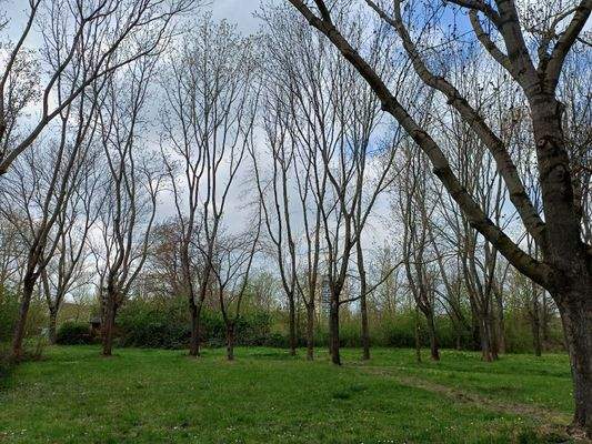 Blick ins Grüne vor der Haustür