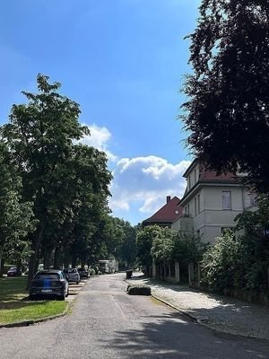 Straße vor der Villa.JPG