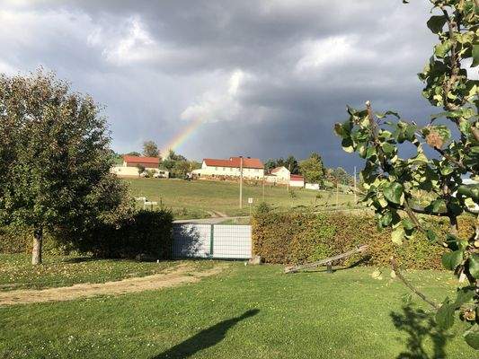 Blick zur Straße.jpg