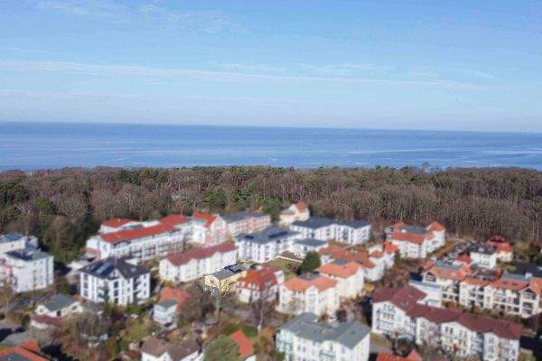 Küstenwald und Ostsee (2)