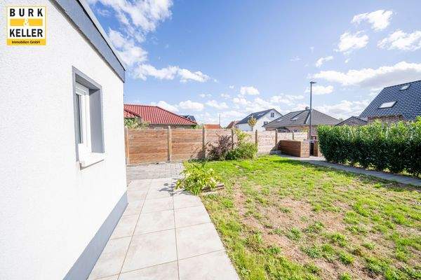 Blick in den Garten 2