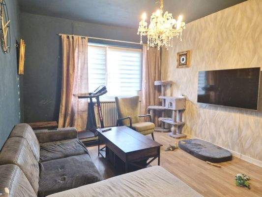 Wohnzimmer EG-Wohnung