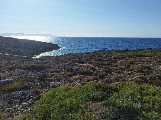 Kreta, Stavros: Küstengrundstücke mit Baugenehmigung und Meerblick zu verkaufen