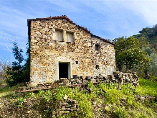 DA958_03 TERRA ITALIA IMMOBILIEN_LIGURIEN_DOLCEACQ