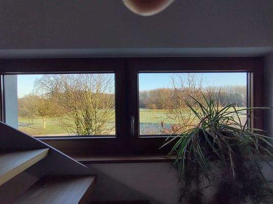 bd1b6002-5039-48e7-9754-22f56e634b66