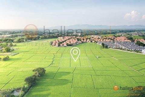 Schwandorf Industrieflächen, Lagerflächen, Produktionshalle, Serviceflächen