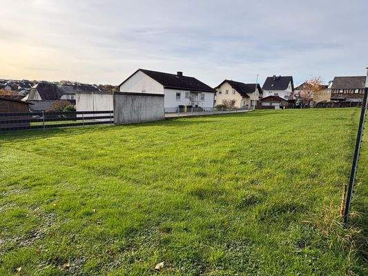 WhatsApp Image 2026-01-18 at 16.29.11