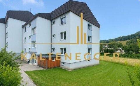 Schottwien Wohnungen, Schottwien Wohnung kaufen