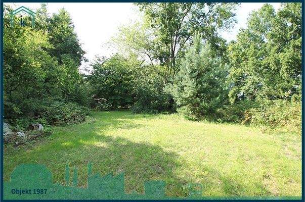 1987 mittlerer Grundstücksteil.jpg