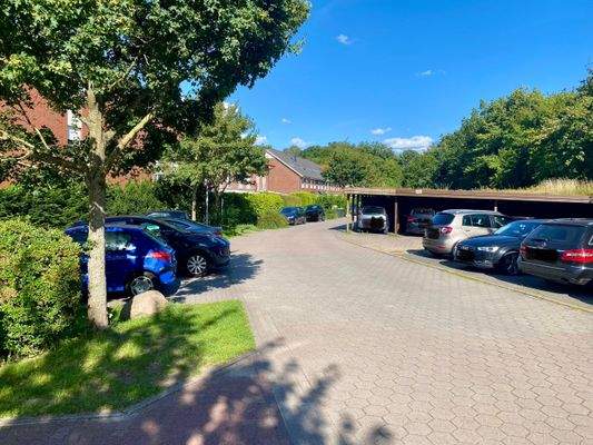 Blick in die ruhige und grüne Sackgasse