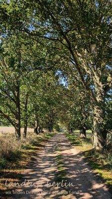 Ein Weg in der Nähe.jpg