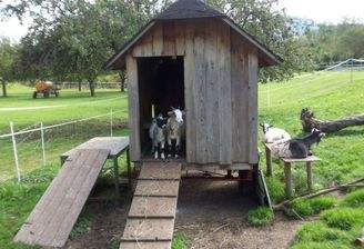 Wir wohnen bereits im Holzhaus