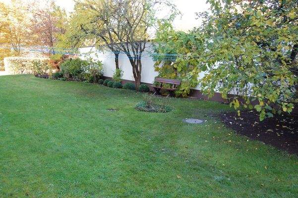 Vorderansicht Garten