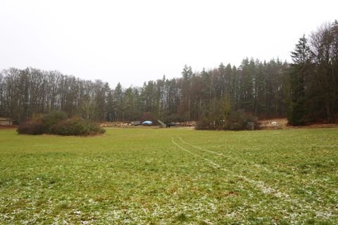 Pommelsbrunn Bauernhöfe, Landwirtschaft, Pommelsbrunn Forstwirtschaft