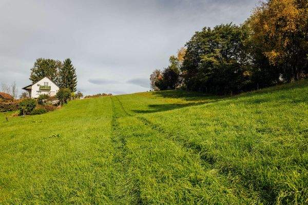 Bauerwartungsland (LW) GStNr. 40/5