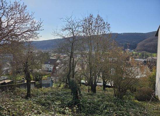 Sonnige Lage mit Blick über das Maintal