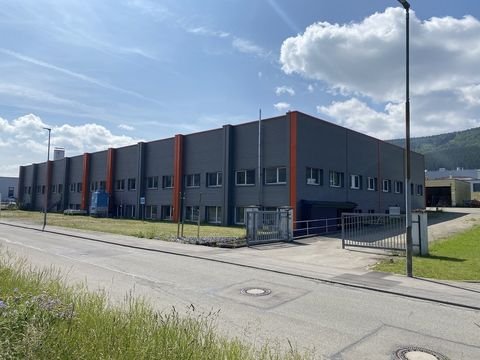 Spaichingen Halle, Spaichingen Hallenfläche