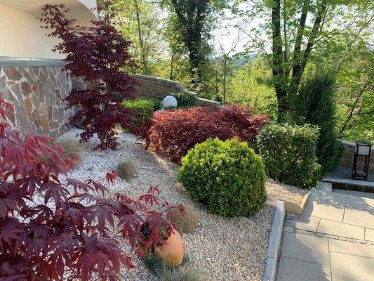 Sehr gepflegte Außenanlage