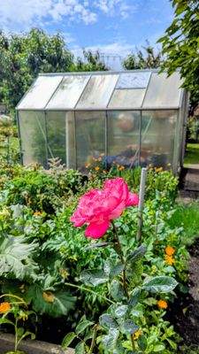 Gewächshaus