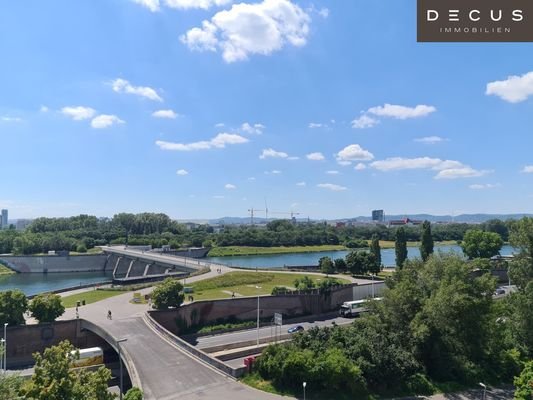 Bild 19