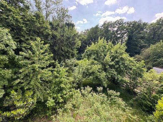 Bild22