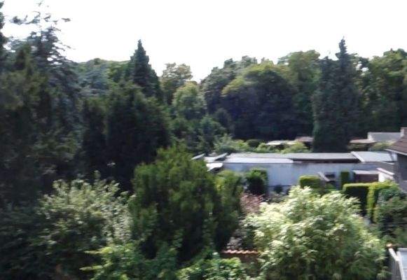 Ausblick nach hinten