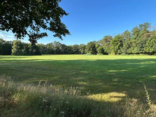 Wohnumfeld- Gemarkung Iden.jpg