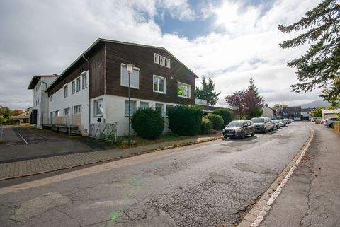 Goslar Halle, Goslar Hallenfläche