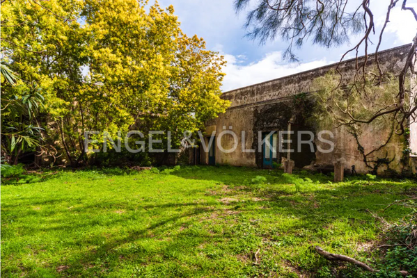 Schermata 2025-03-07 alle 12.04.57.png