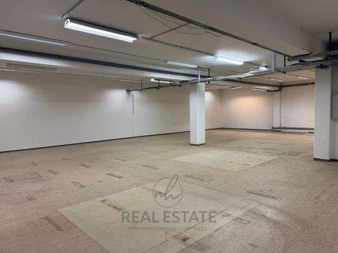 Hamburg Halle, Hamburg Hallenfläche