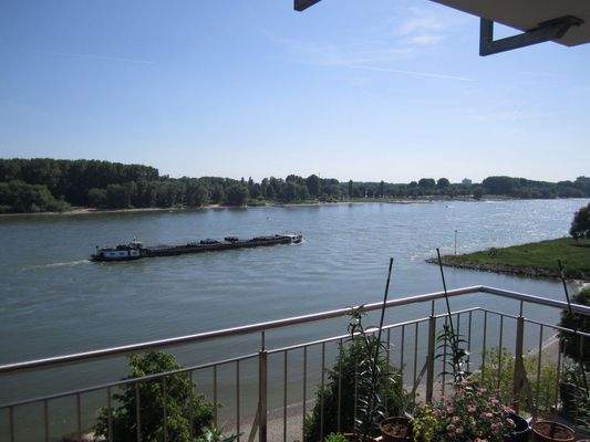 Urlaub auf Balkonien